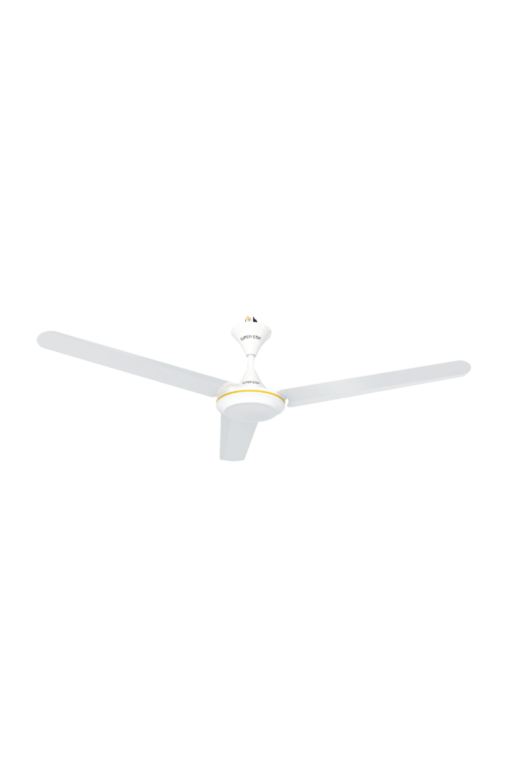 Lucky-Fan-56-in-2-1025x1536